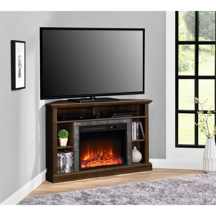 Darby Home Co Moreton TV Stand for TVs up to 50" with Fireplace